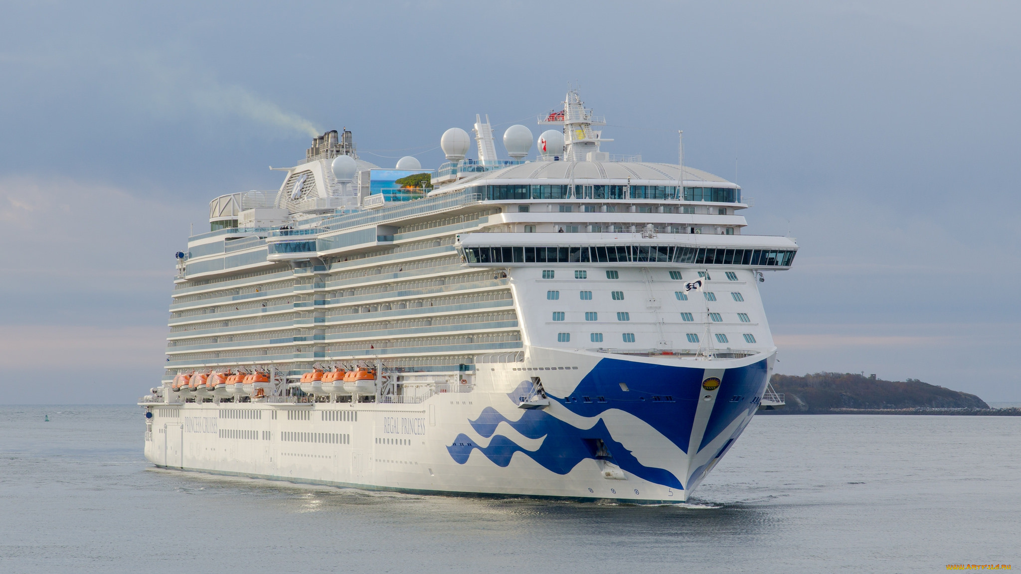 regal princess, , , , 
